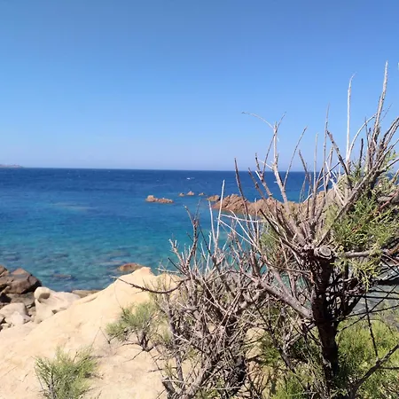Holiday home Wild Paradise