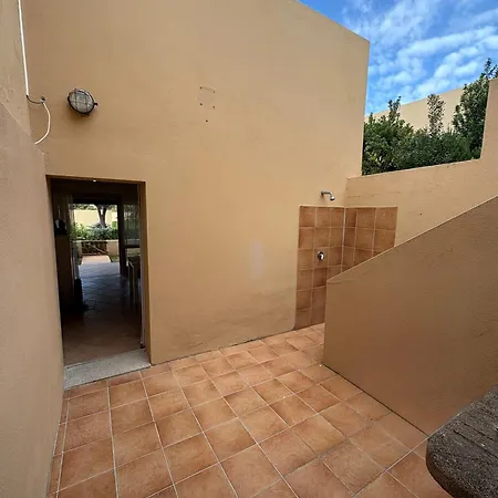 Wild Paradise * コスタ・パラディーゾ