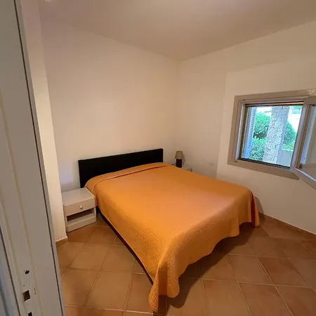 Wild Paradise 코스타 파라디소