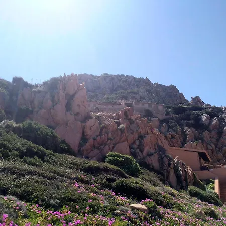 펜션 Wild Paradise *